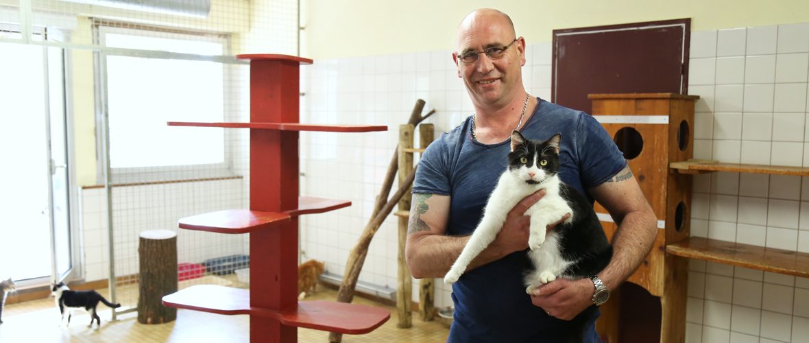 SPA : « Accueillir les animaux avec tout l’amour dont ils ont besoin » | M+ Mulhouse