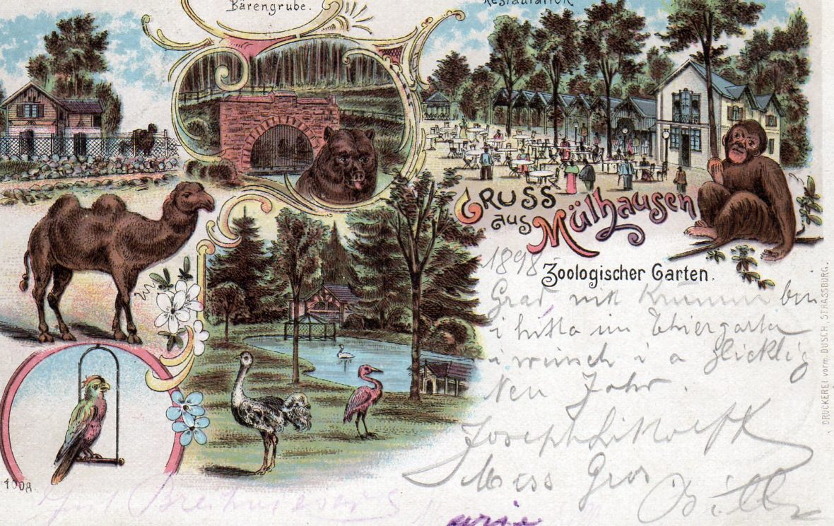 150e anniversaire du Parc zoologique et botanique de Mulhouse