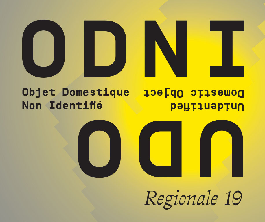 ODNI/UDO (Objet Domestique Non Identifié / Unidentified Domestic Object) - Régionale 19