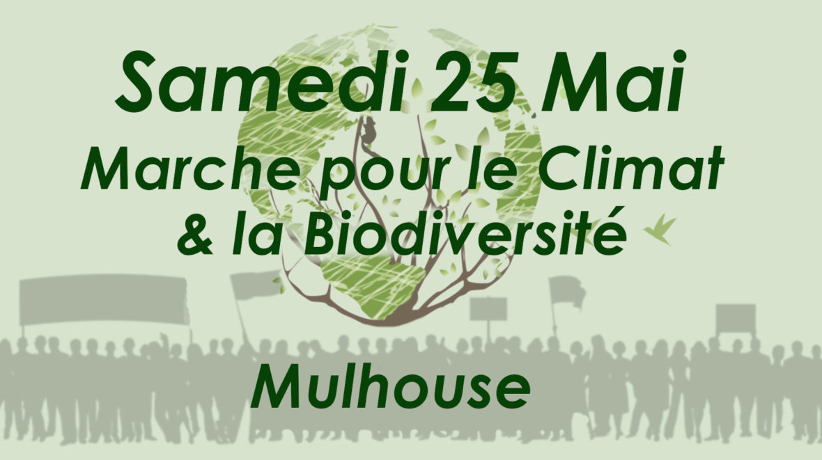 Marche pour le climat et la biodiversité