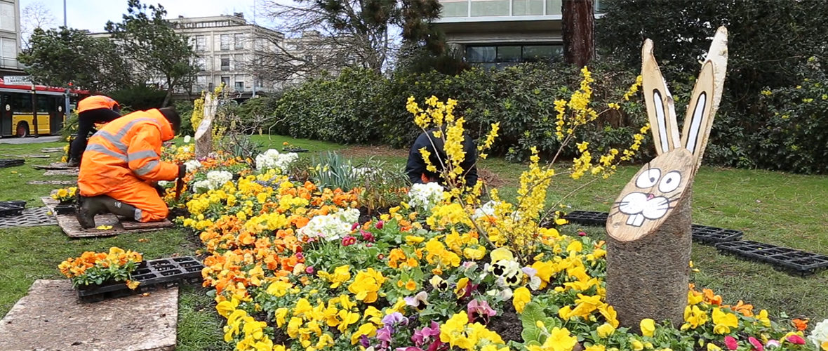 [VIDEO] Dans les coulisses du fleurissement de printemps | M+ Mulhouse
