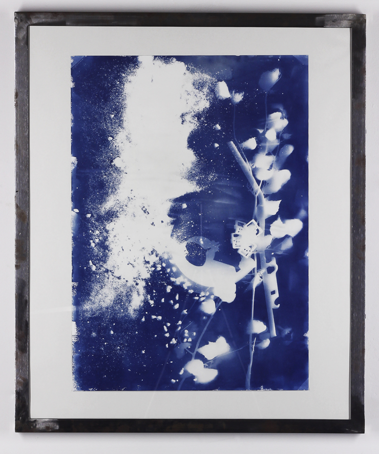 Ateliers de cyanotype avec l'artiste Klara Meinhardt