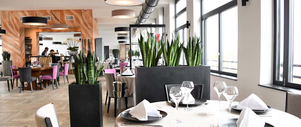 Restaurant Les Verriers : plein la vue et les papilles ! | M+ Mulhouse