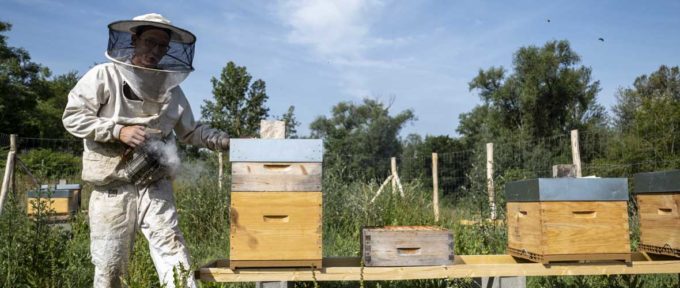 Promenade de la Doller : des ruches et bientôt du miel « Mulhouse Diagonales »
