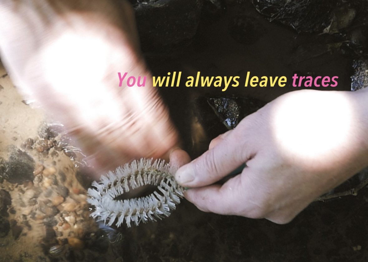 Exposition : You will always leave traces