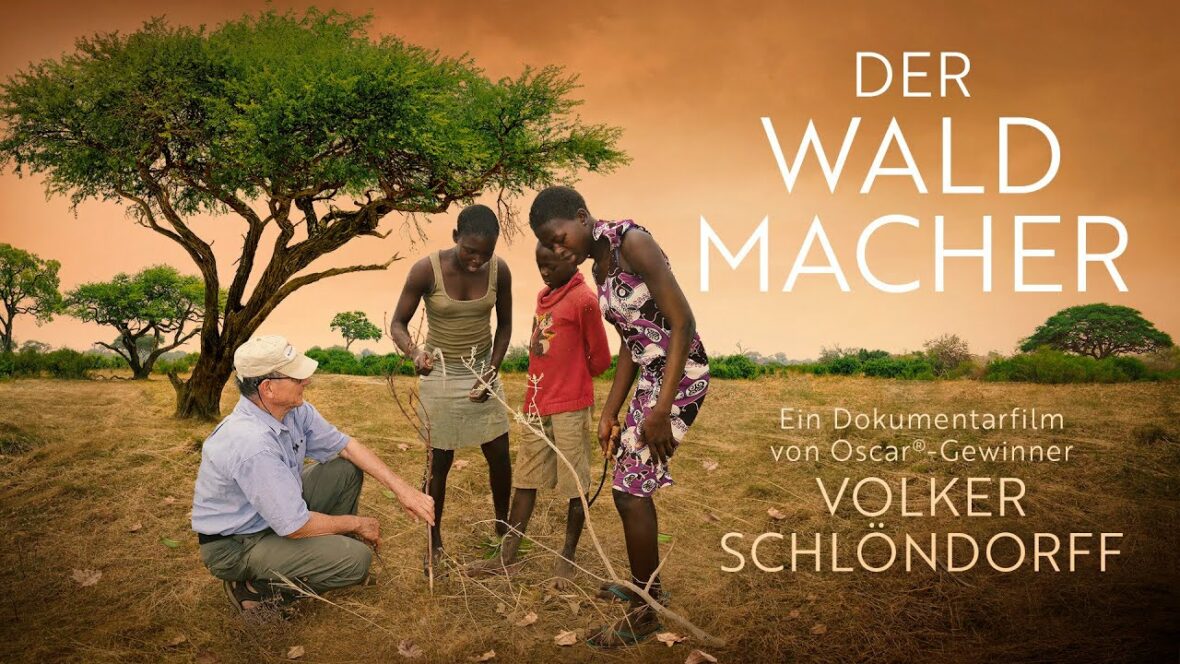 FESTIVAL AUGENBLICK - Projection "Der Waldmacher" + rencontre avec Alsace Nature