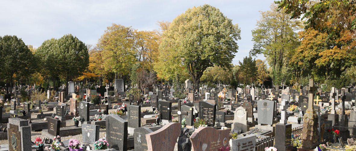 Le Printemps des cimetières à Mulhouse, entre nature et culture
